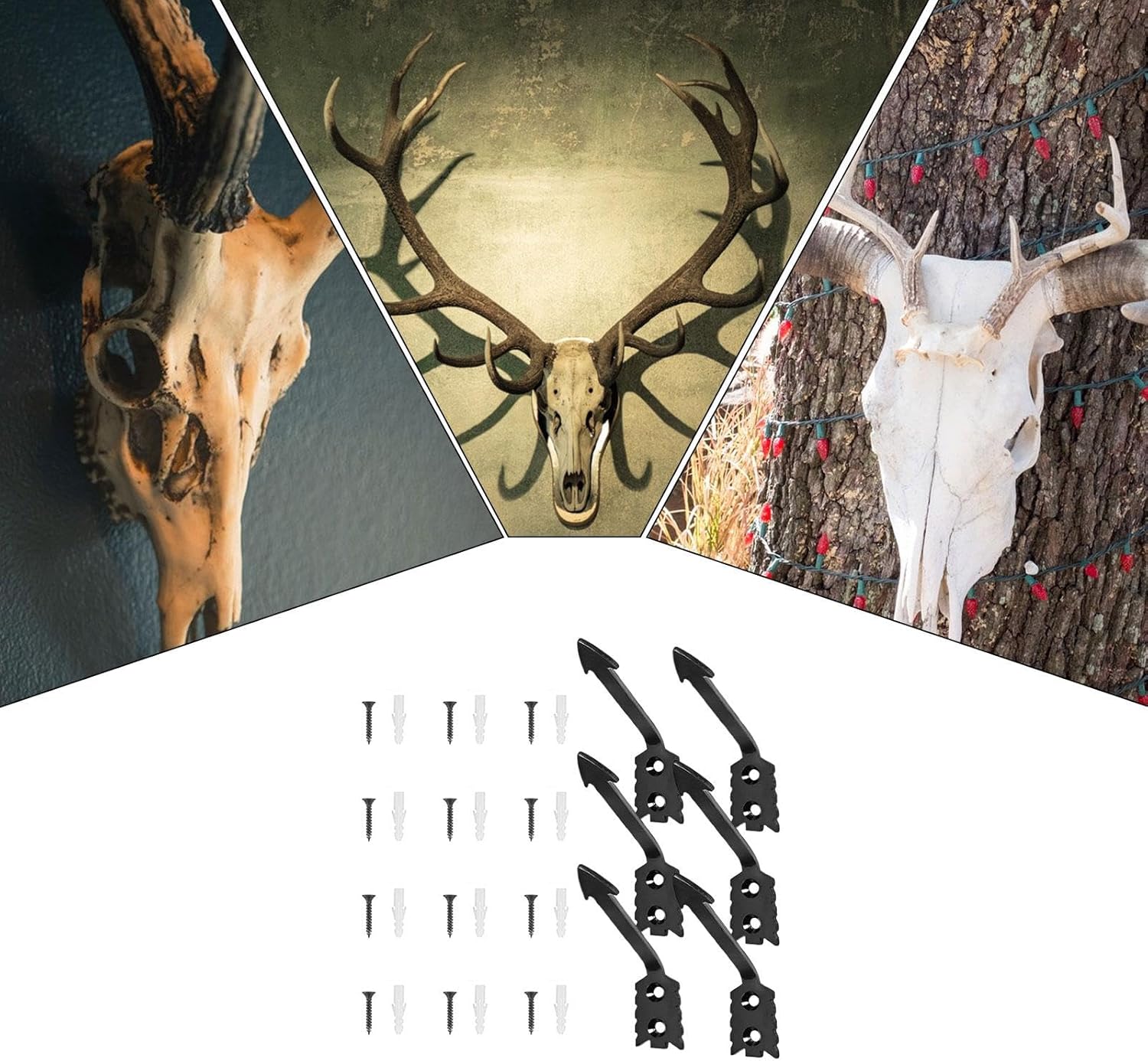 Entzückende Wandhalterung, Schädelregal, europäische Halterung, Schädel-Aufhänger für Hirschköpfe, Set mit 6 Hirschschädlen, Display-Rack für Innen- und Außenbereich, kleine 5 81kaSbe3OWL. AC SL1500 - antaresshop.de
